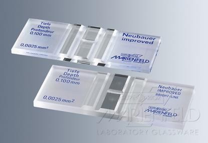 Cámara de Neubauer con Línea Doble Brillante – Hemacitómetro para Conteo de Leucocitos y Eritrocitos