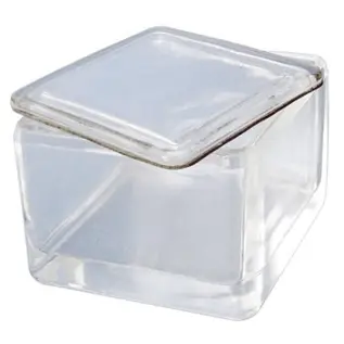 Caja Coplin vidrio Luzeren sin rack 20 portaobjetos