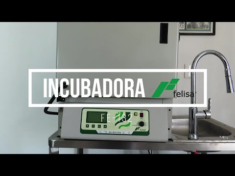 Incubadora de Laboratorio FE-132