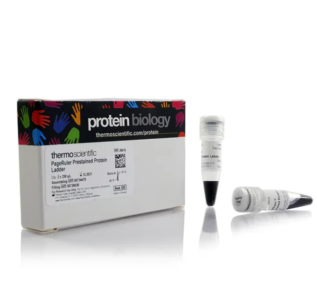 [26617] Estándar de Proteínas Preteñidas PageRuler 10-180 kDa 10 x 250 ul Thermo Scientific