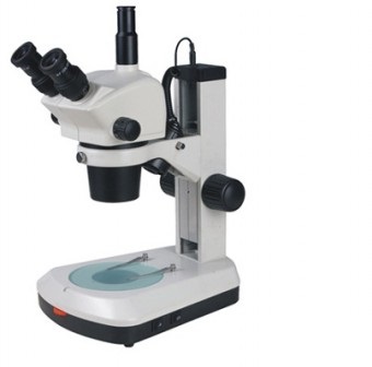 microscopio estéreo triocular zoom 