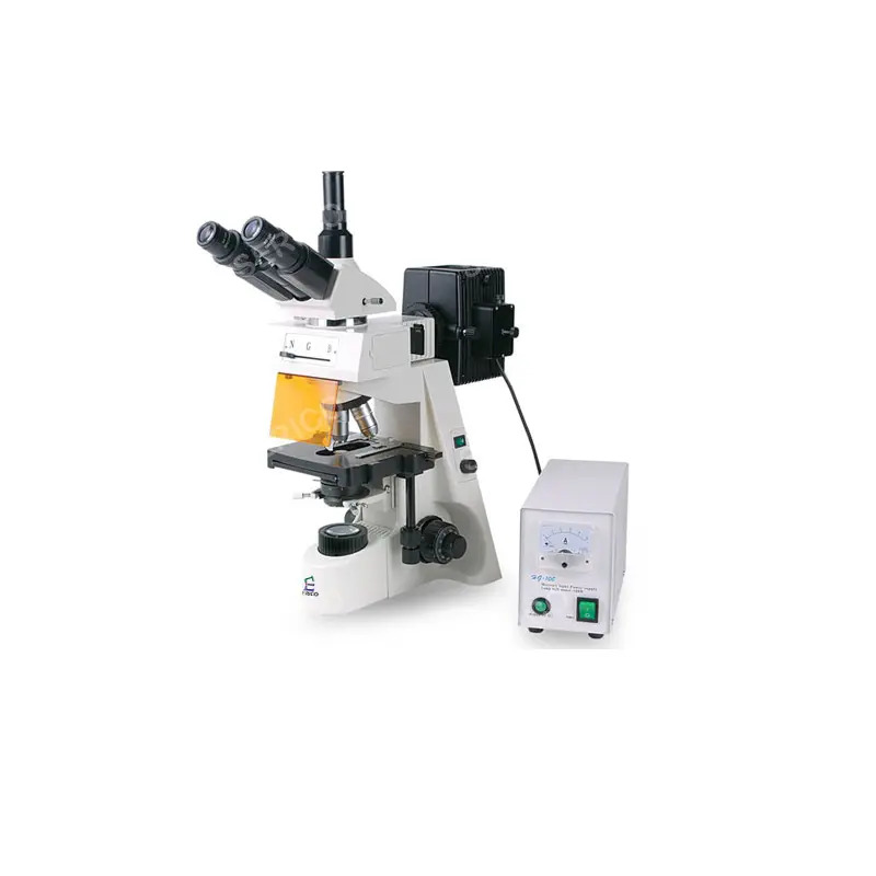 microscopio triocular con epifluorescencia