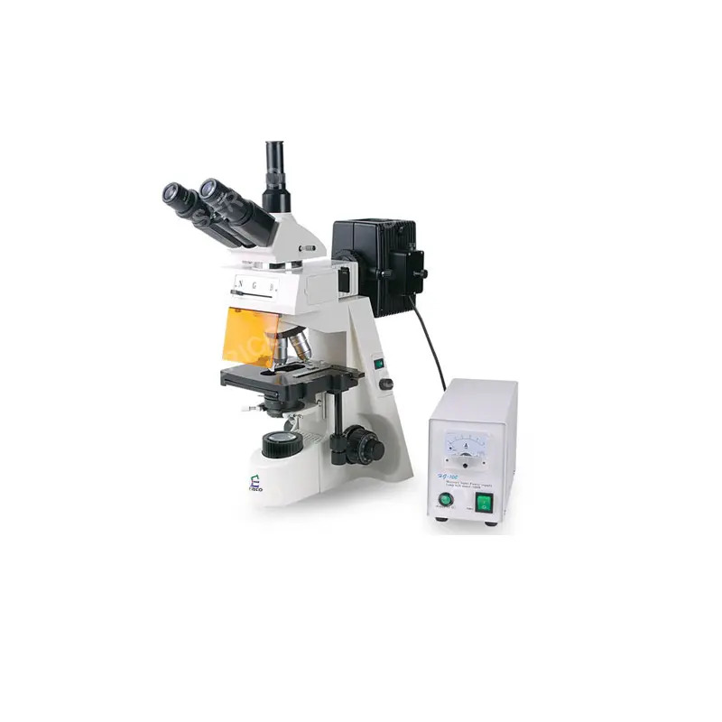 Microscopio trilocular con epi-fluorescencia 4 objetivos, Luzeren