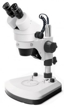 Microscopio Estereoscópico SMZ-08 – Premiere 