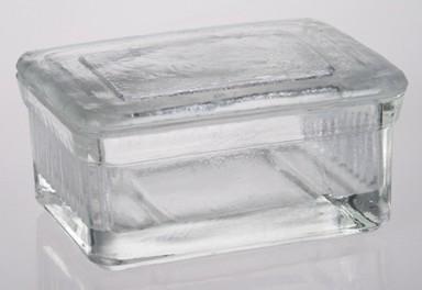 Caja Coplin Luzeren vidrio 20 portaobjetos