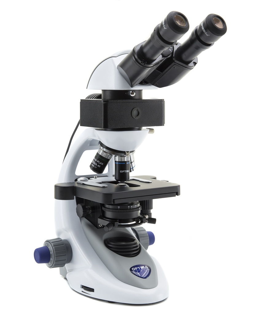 Microscopio Binocular B-292LD1 – Campo Claro y Fluorescencia LED, 1000x, Iluminación X-LED³ - Optika
