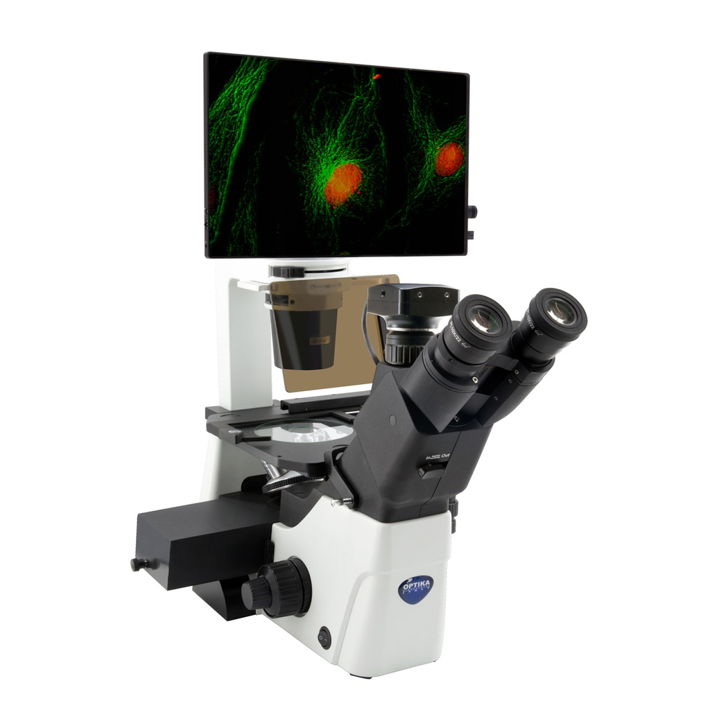 Microscopio Invertido Digital Fluorescencia LED IM-300LD4D Optika