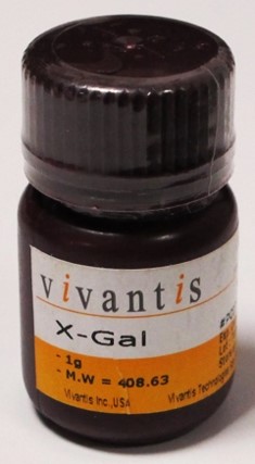 x-gal(5-bromo-4-chloro-3-indolyl-beta-d-galactopyranoside) 1g. vivantis