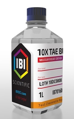 tae 10x buffer 1 l. ibi scientific