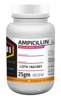 [IB02040] ampicilina, sal de sodio 25g. ibi scientific