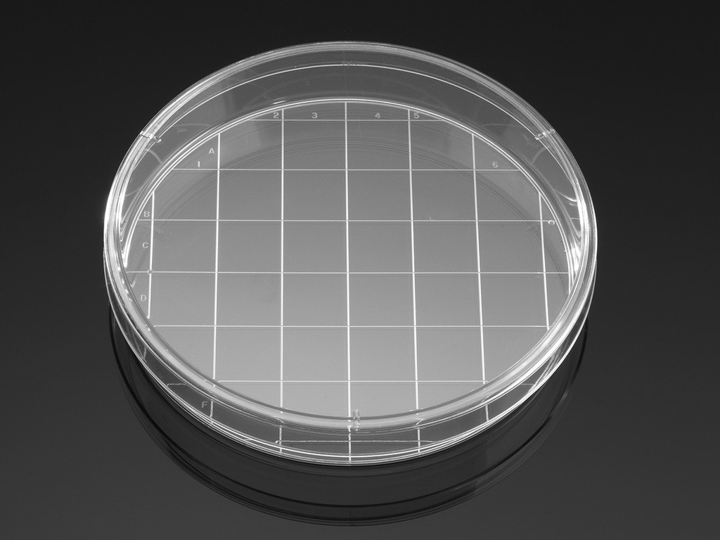 [353025] Caja Petri Cuadriculada 150x25 mm para Cultivo Celular Estéril - Falcon