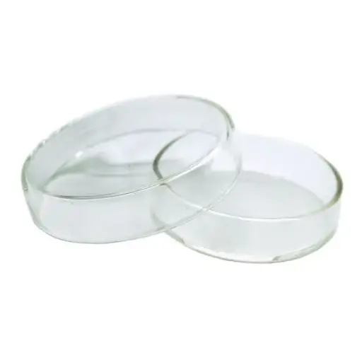 Caja Petri vidrio neutro Luzeren Ø 65×15 mm