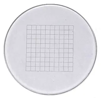 Retícula ocular cuadriculada 100 div/mm Ø19 mm – Luzeren