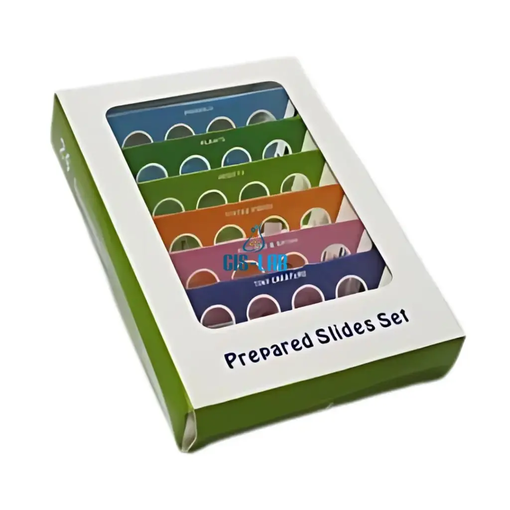 Portaobjetos Con Especimenes Set 6 Luzeren