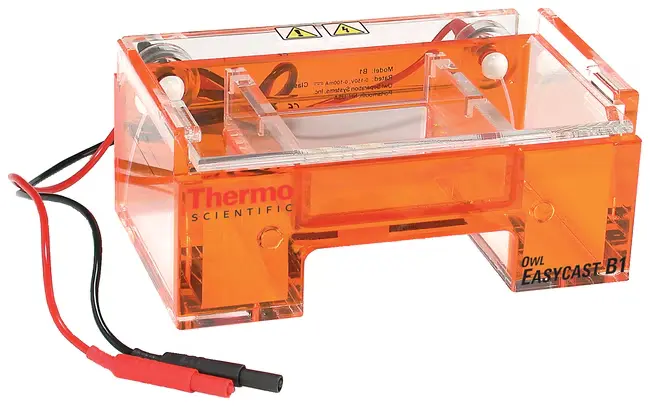 [B1-BP] Cámara de Electroforesis Horizontal en Minigel Certificado CE 9x11 cm Thermo Scientific