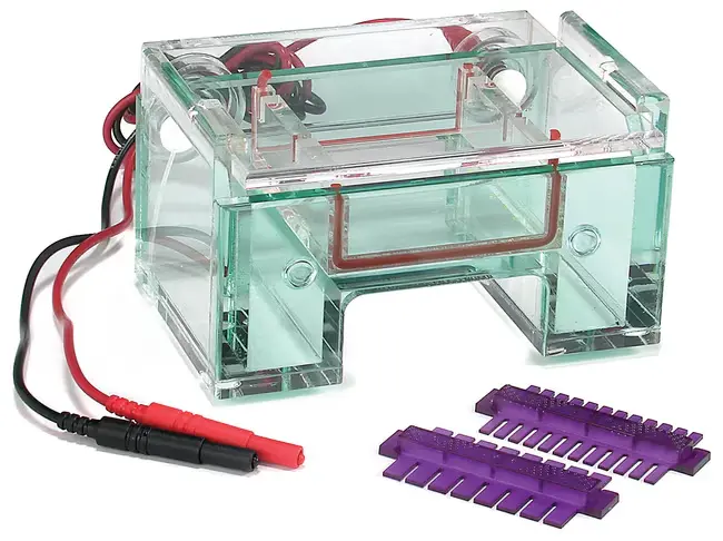 sistema de electroforesis minigel 7x8cm c/int. buffer - thermo scientific
