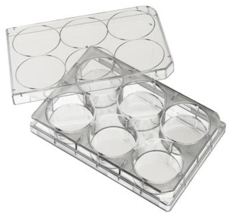 [BG-07-6006] Microplaca De Ps, 6 Pozos De 3Ml Ester. 50/Caja - Biologix