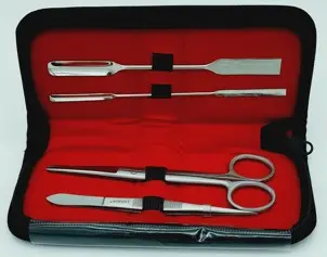 [LUZ-1666] Juego De Diseccion Ss Escolar Con 4 Piezas.  Luzeren