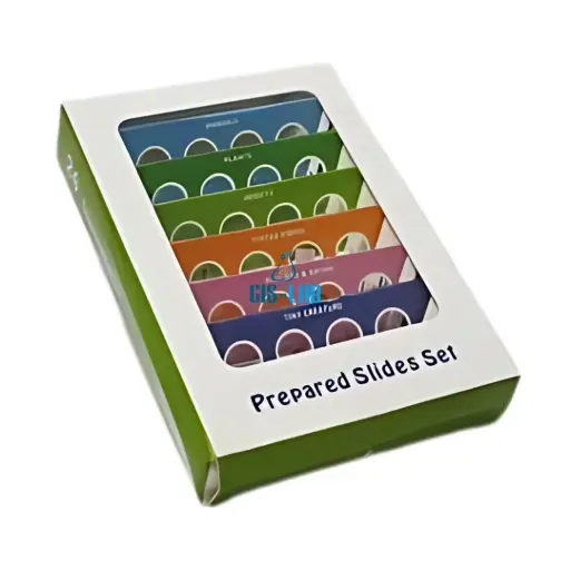 [LUZ-21358] Set portaobjetos con especímenes (6 láminas) – Luzeren