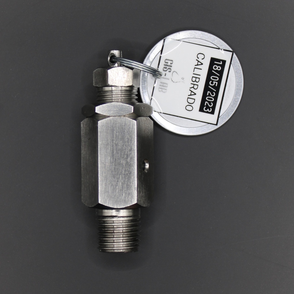 Válvula de seguridad Autoclave