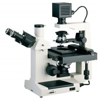 [EQ-LUZ-XDS-2] Microscopio Invertido Triocular 