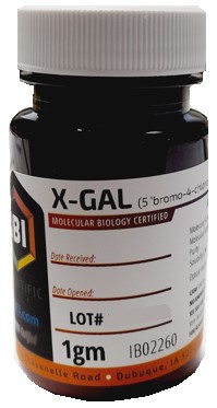 [IB02260] x-gal 1g. ibi scientific