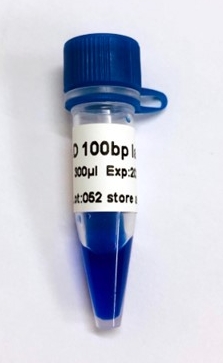 [Dng-LM1061] marcador 100bp, 300ul. dongsheng