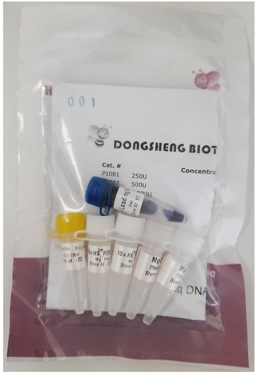 [Dng-P1083] taq polimerasa (hs taq) 1000u, 5u/ul. dongsheng