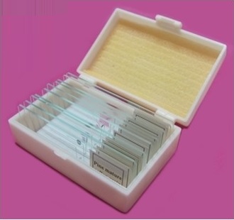 [LUZ-1426] Portaobjetos preparados – Luzeren