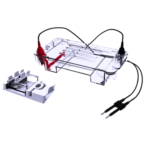 [LUZ-21196] Cámara Horizontal de Acrílico para Electroforesis, Gel 70x60mm, Luzeren