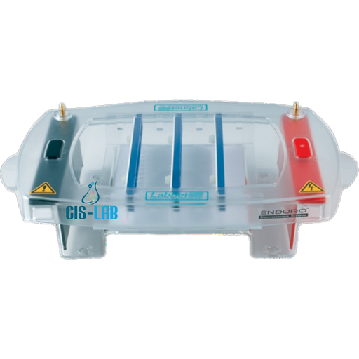 [E1015-15] Cámara de electroforesis midigel 15×15 cm Labnet